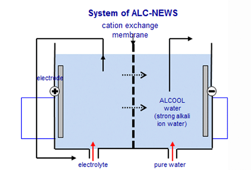 Alkaline ionized water